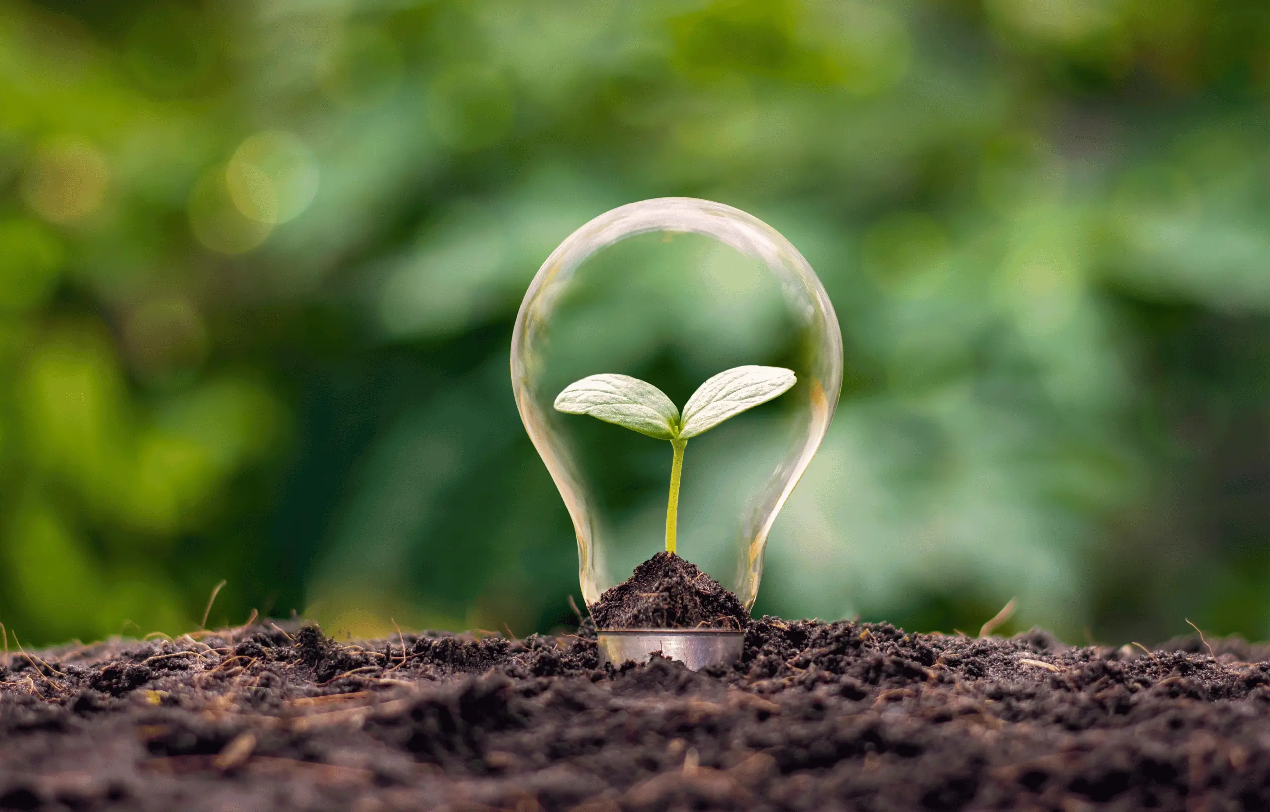 sustainable-procurement