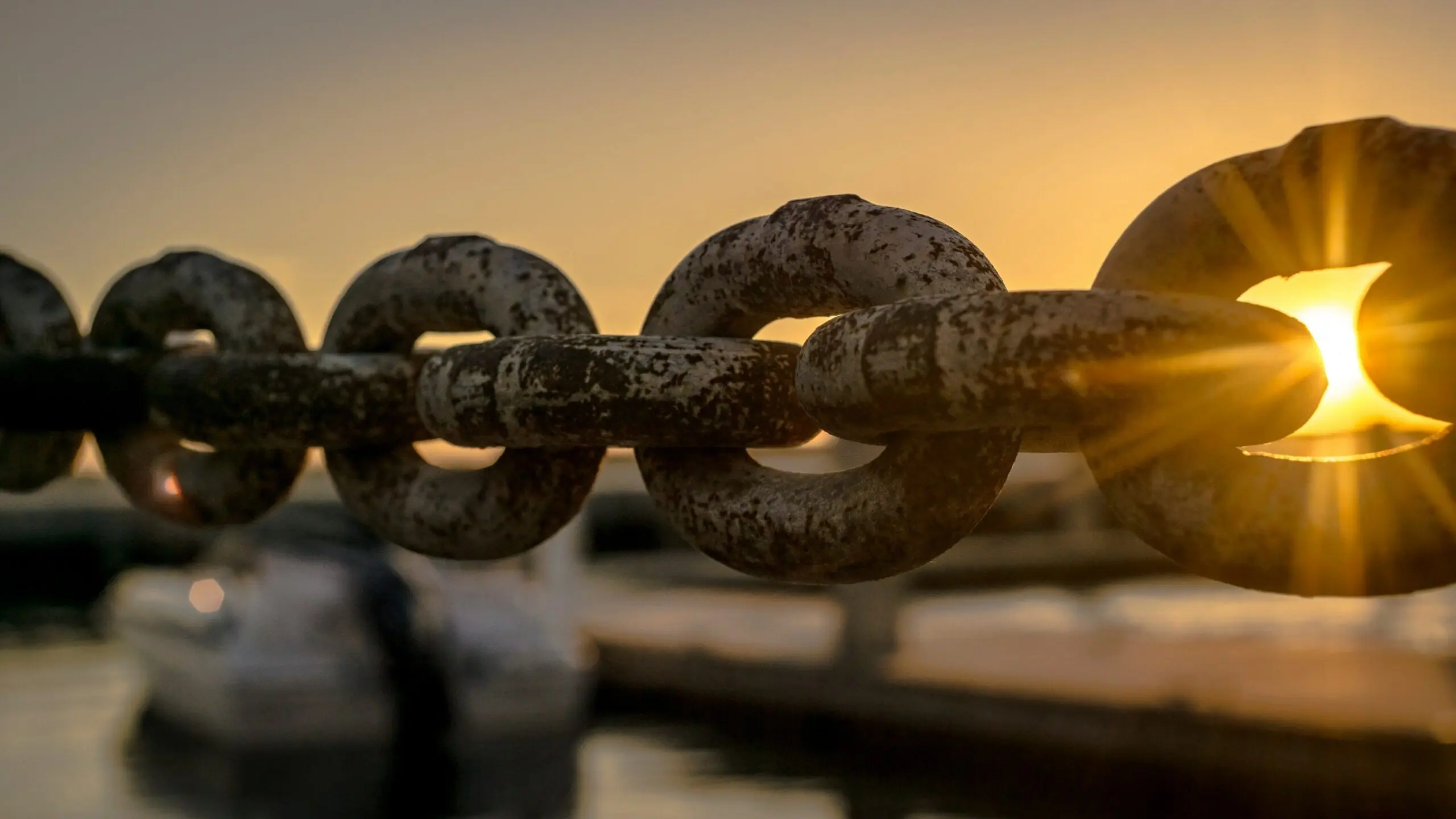 what-are-the-5-key-areas-of-supply-chain-management